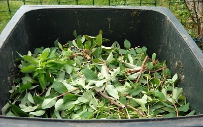 Green Waste Removal Melbourne