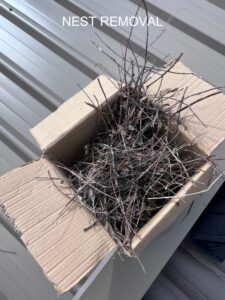 Next Removal Ballarat