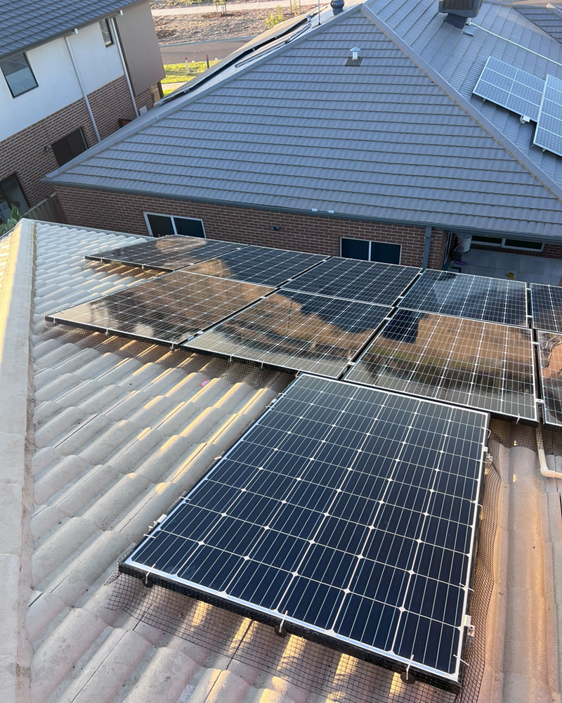 Solar Panel Bird Proofing Services in Ballarat Solar Panel Bird Proofing Services in Ballarat